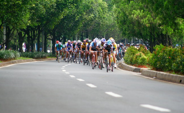tdj 2008