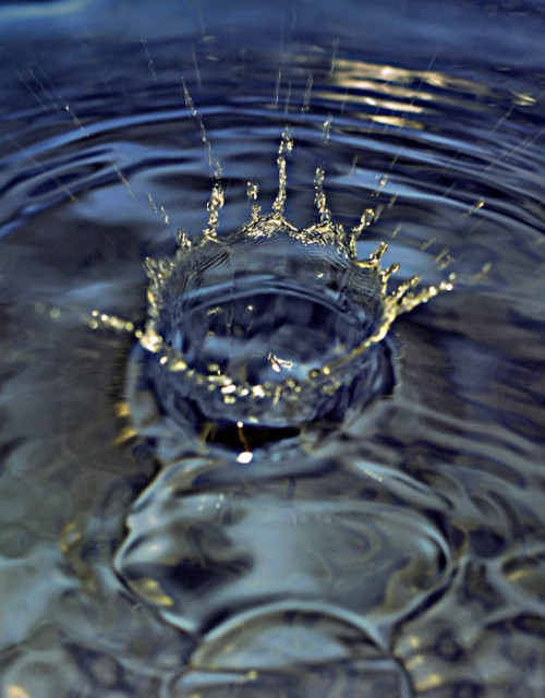 crown of water
