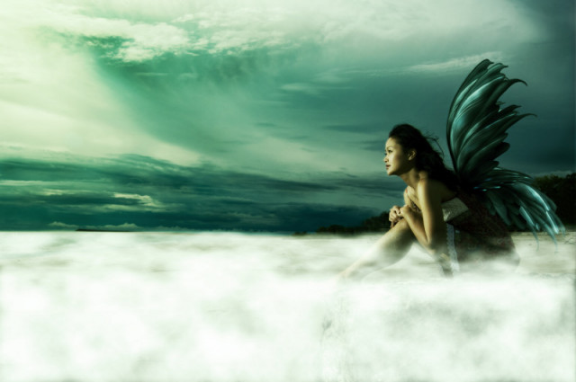 fairy