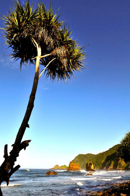 Morning @ Papuma Beach