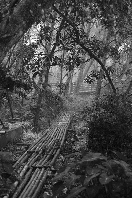 mistic path
