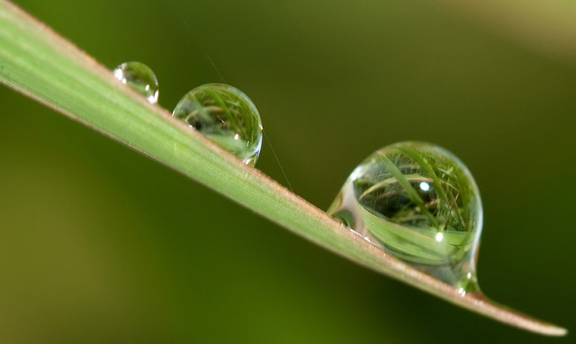 ~ Three ~