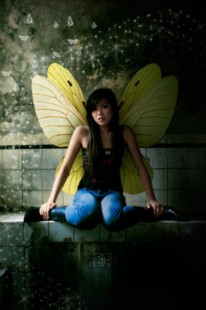 Butterfly