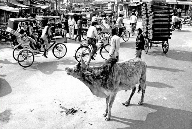 KING of Road in India