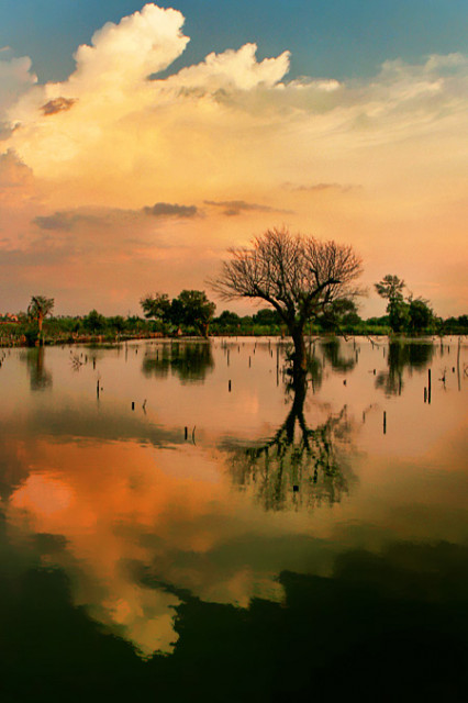 Nature Mood