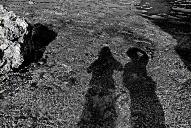 Shadow narcism