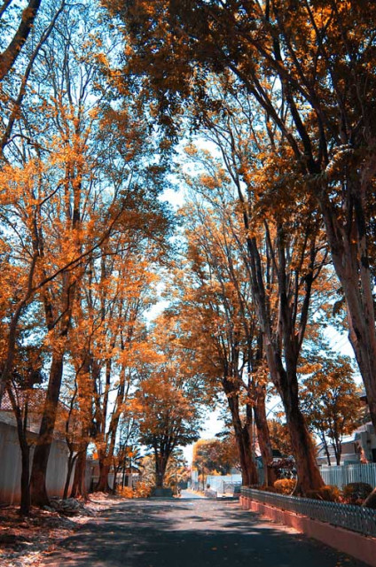 just like autumn
