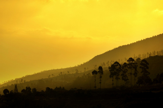 ::Nature Layering::