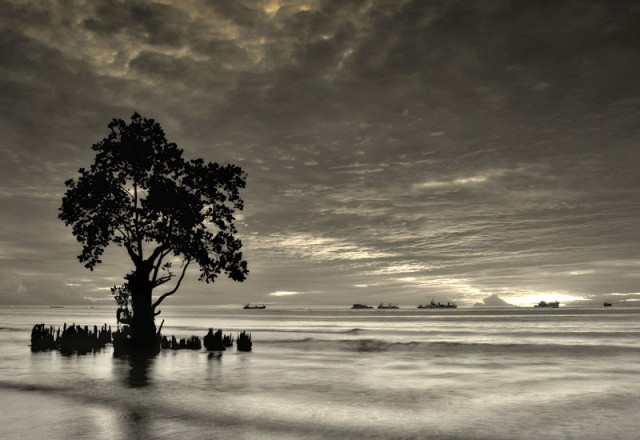 alone