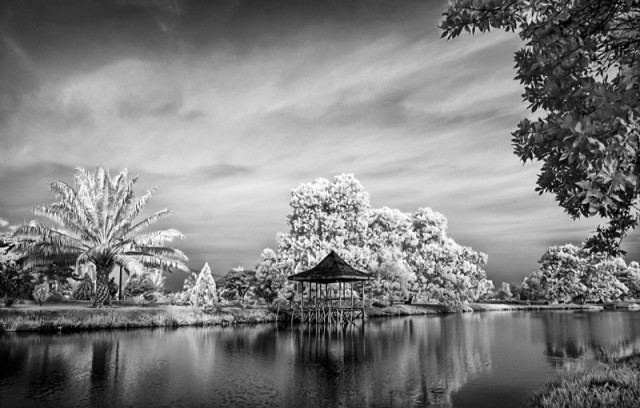 Lonely Lake