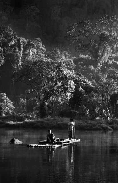 silent morning [bw version]