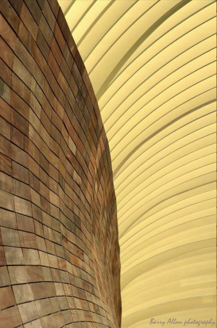 Curve & Line