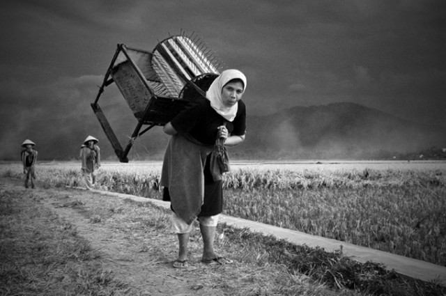 Woman At Work