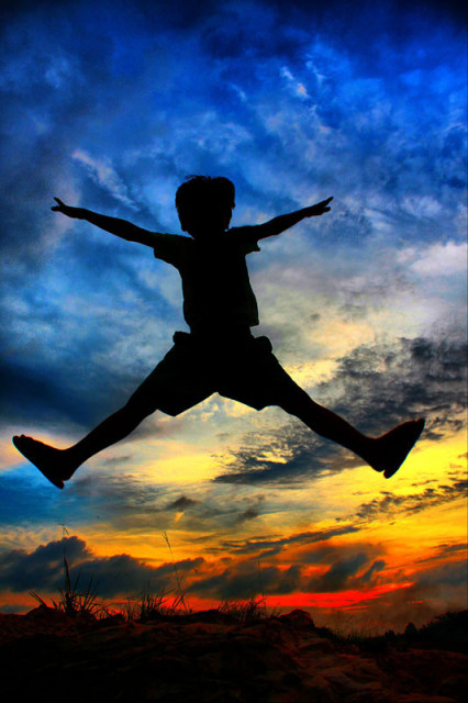X - Fly