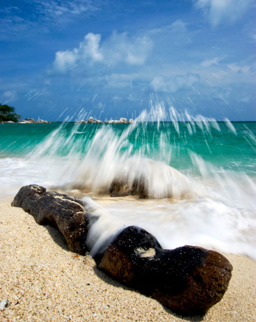 Splash