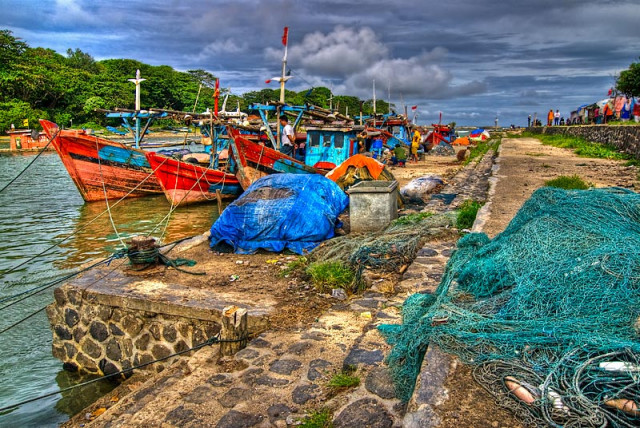 A day at the harbour