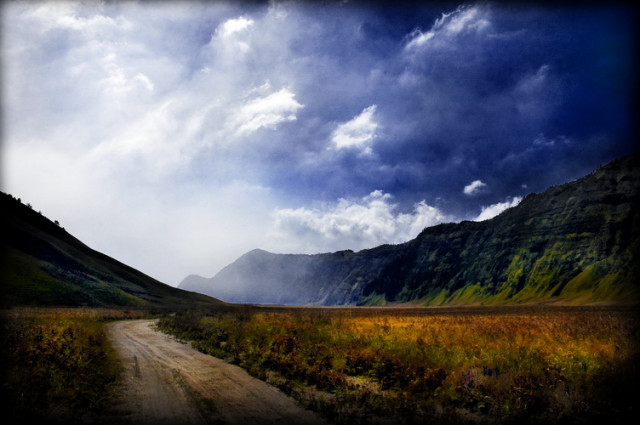 Savana - Bromo 2