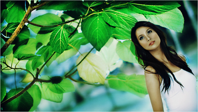Lay Lady Lay