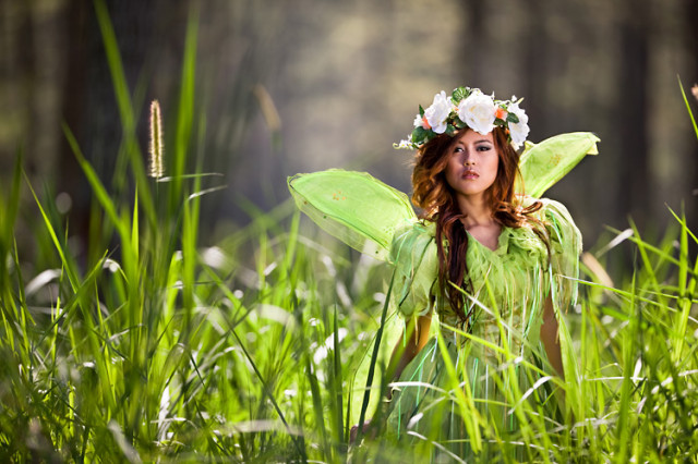Lost In The Jungle...
