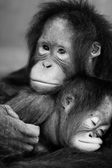 A father's love