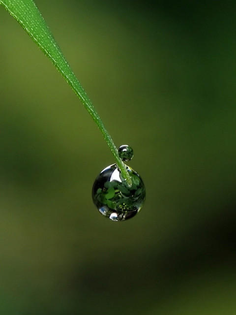just drops