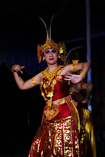 -cendrawasih-
