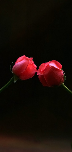 ..eternity..