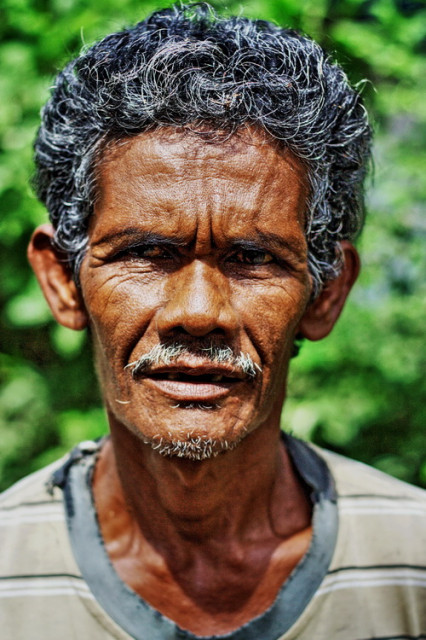 Potrait