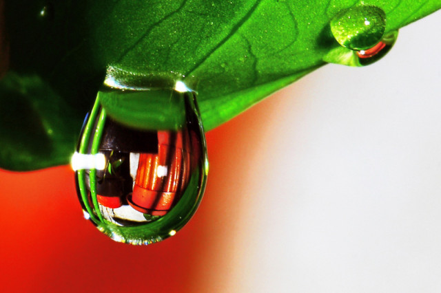 Independence Water Drop