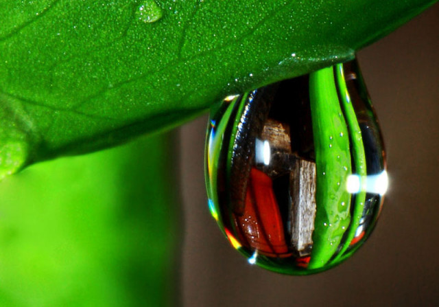 Water Drop