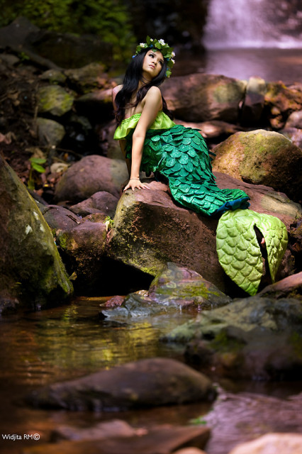* The MeRmaid *