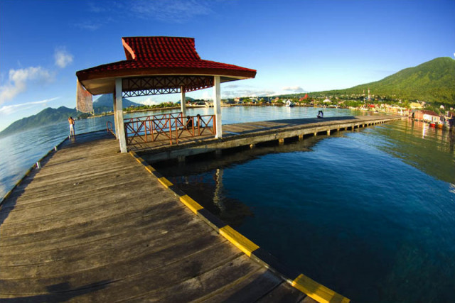 :: morning lovers ::