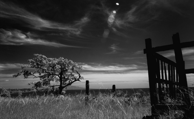 - pagar pantai sowan # BW -