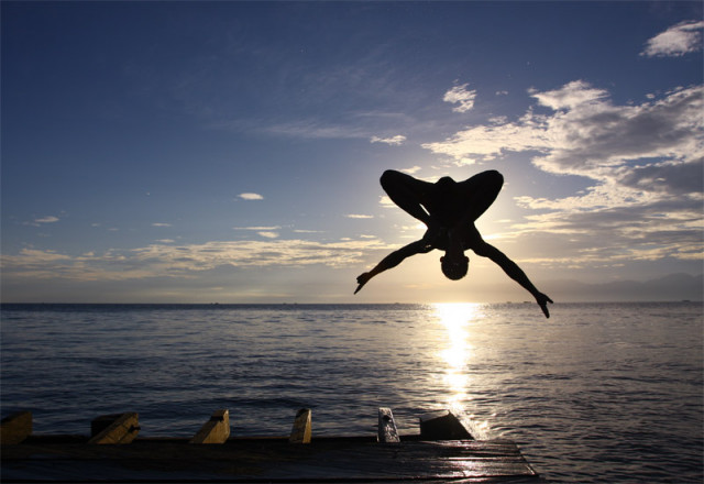 fly
