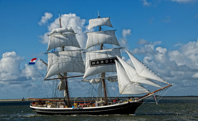 Tall Ship's Races