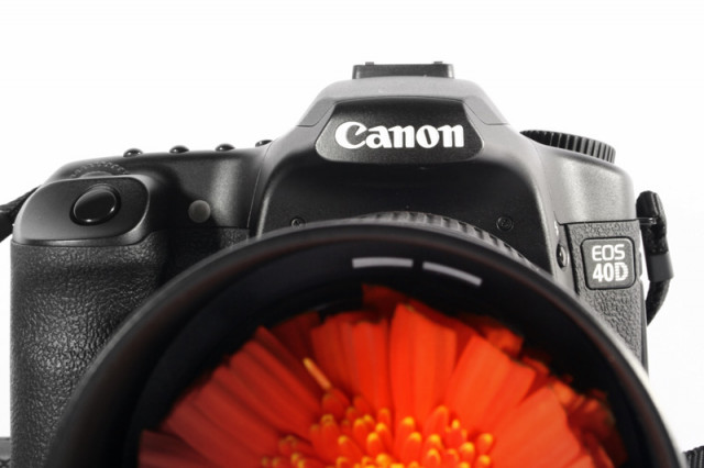 Canon'ku Centil