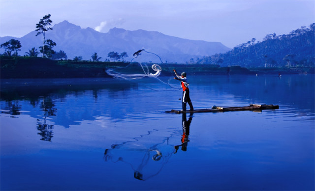 - fishing on the blue -