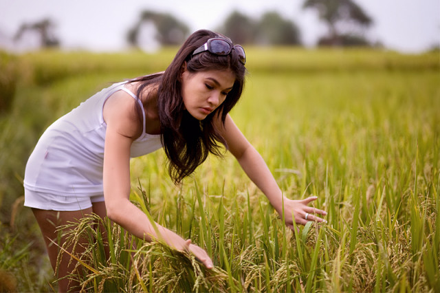 Anak Petani