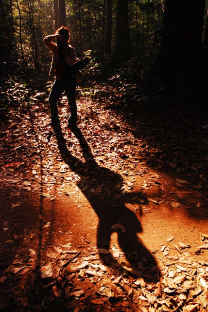 Capture the shadow