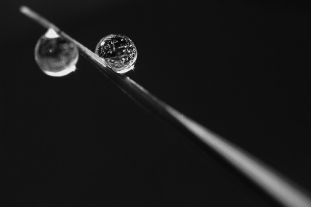 every drop is important