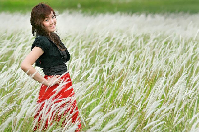 Winter Grass