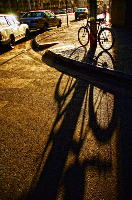 Morning Shadow