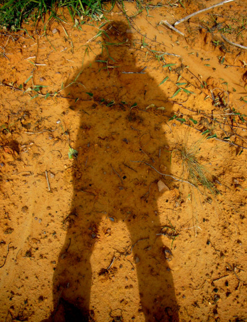 :: My Shadow ::
