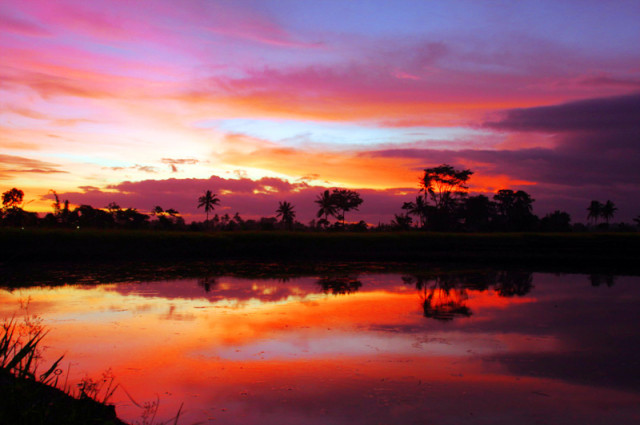 Senja di Rogojampi