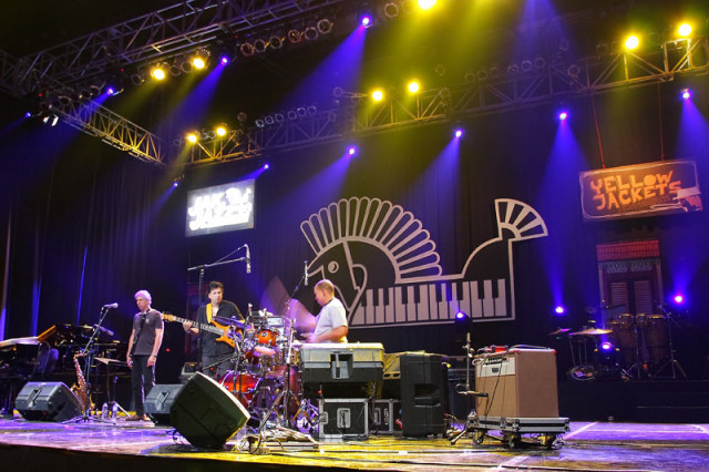 YellowJackets