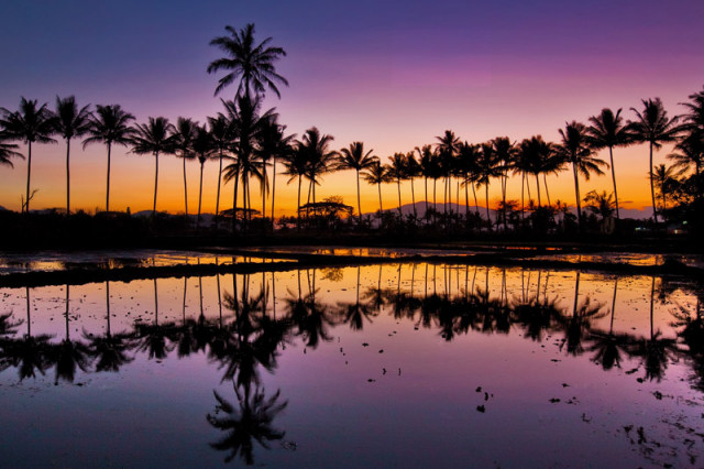 Reflection
