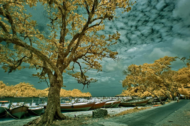 pantai sendang biru
