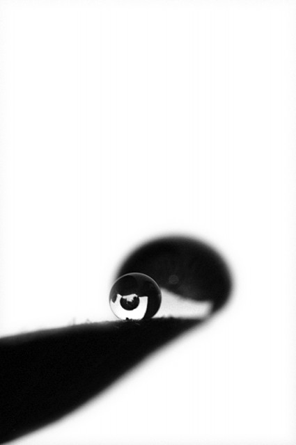:: Reflection on Drop ::