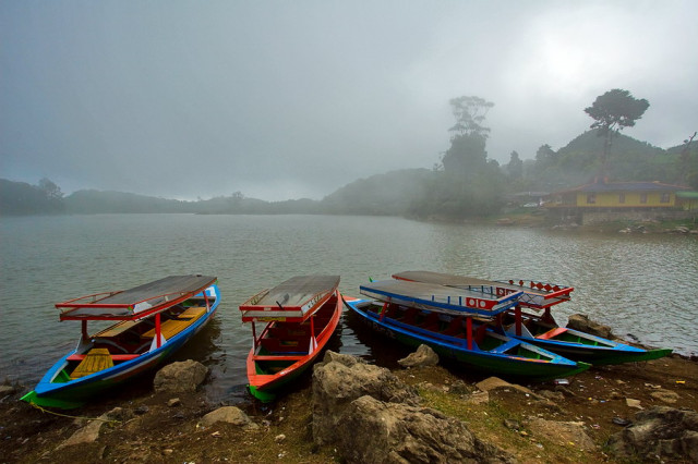 boats
