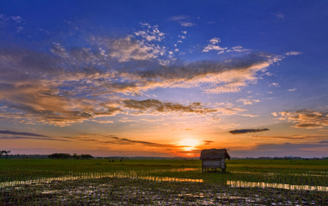 Pondok